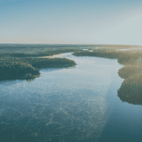radical pantanal